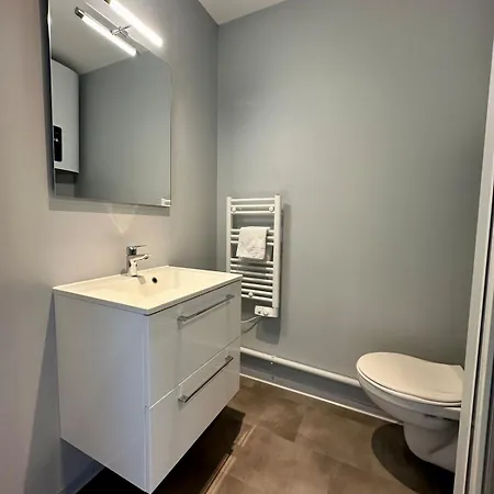 Apartman 63 Renove Et Equipe - Nancy Brabois Proche Chru,cesi,fac