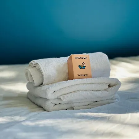 Lejlighed 63 Renove Et Equipe - Nancy Brabois Proche Chru,cesi,fac Vandoeuvre-lès-Nancy