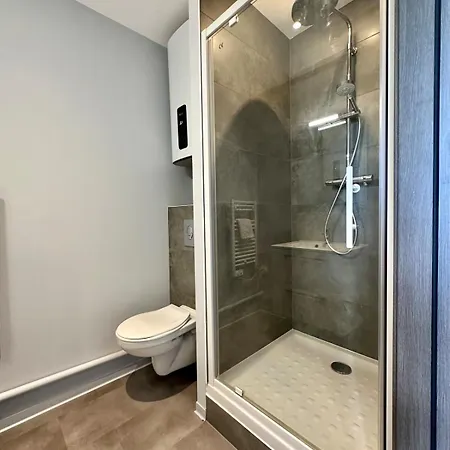 Lejlighed 63 Renove Et Equipe - Nancy Brabois Proche Chru,cesi,fac