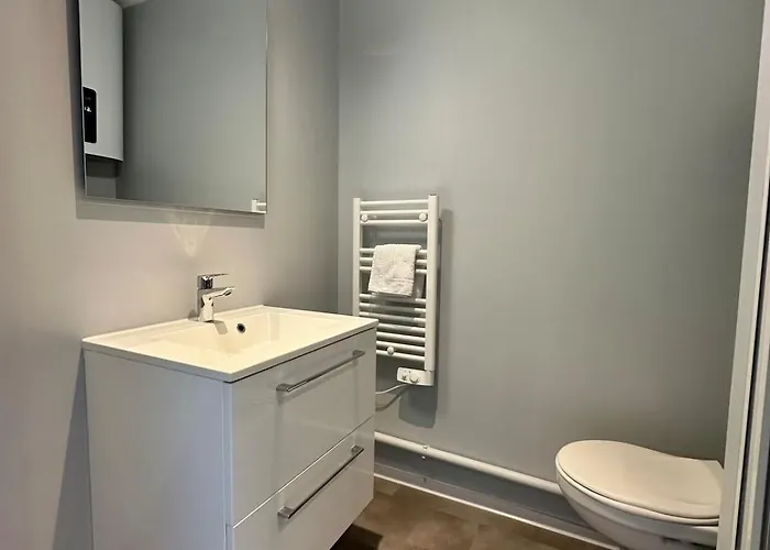 公寓 63 Renove Et Equipe - Nancy Brabois Proche Chru,cesi,fac