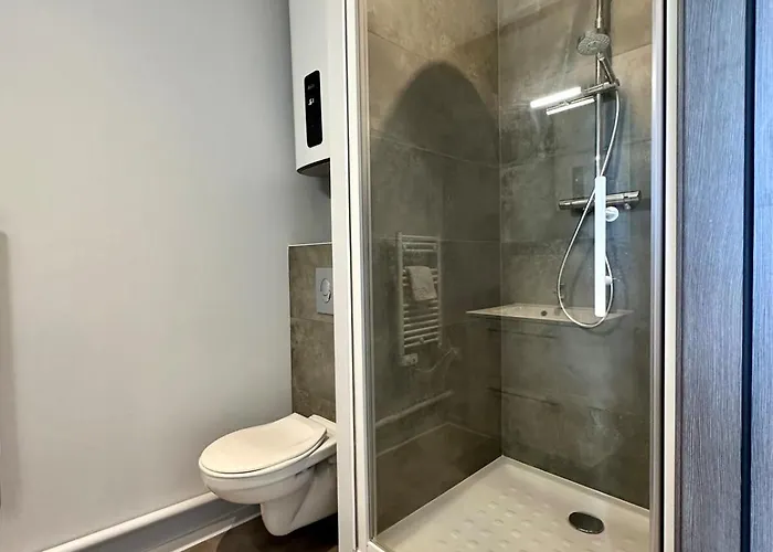 公寓 63 Renove Et Equipe - Nancy Brabois Proche Chru,cesi,fac